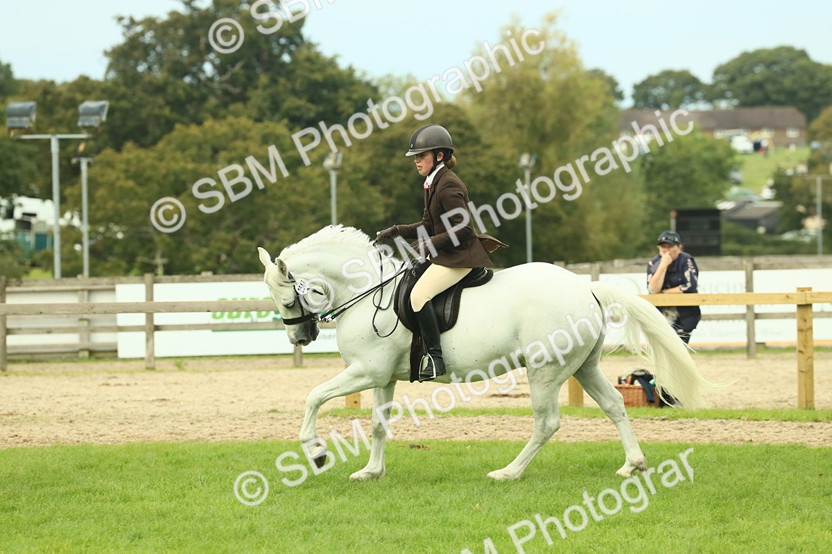 SBM_71984 - S60 - Mountain & Moorland Ridden Large Breeds