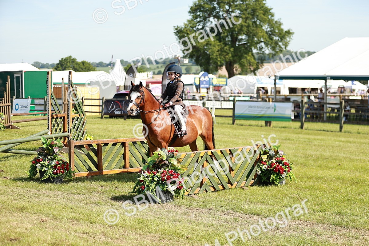 SBM_12734 - Class 106-107 - BSPS LIHS Working Sports Pony