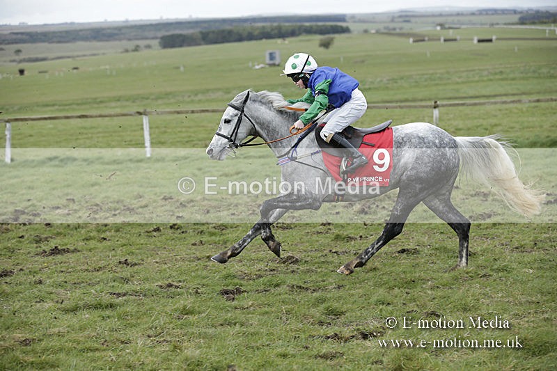 PtP 150320 0779 - New Forest Point-to-Point Larkhill 15/03/20