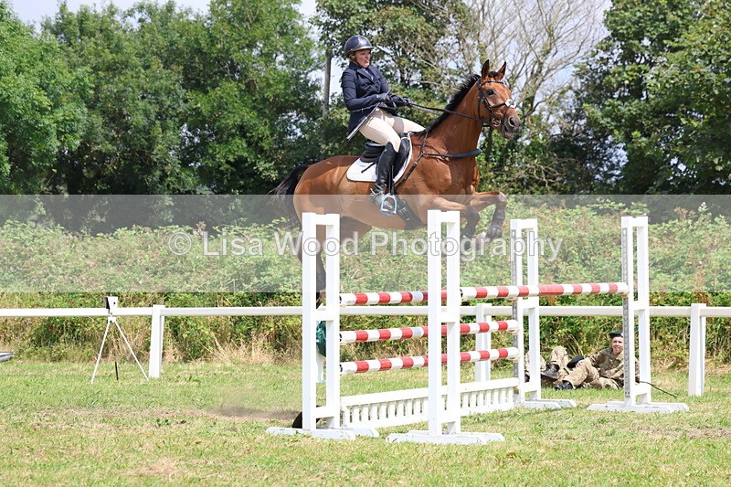 3E7A3412 - Class 10: Senior Foxhunter/1.20 open