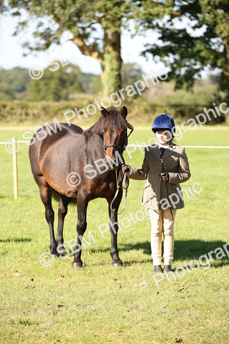 SBM_36672 - S10 - Best In Hand Horse & Pony