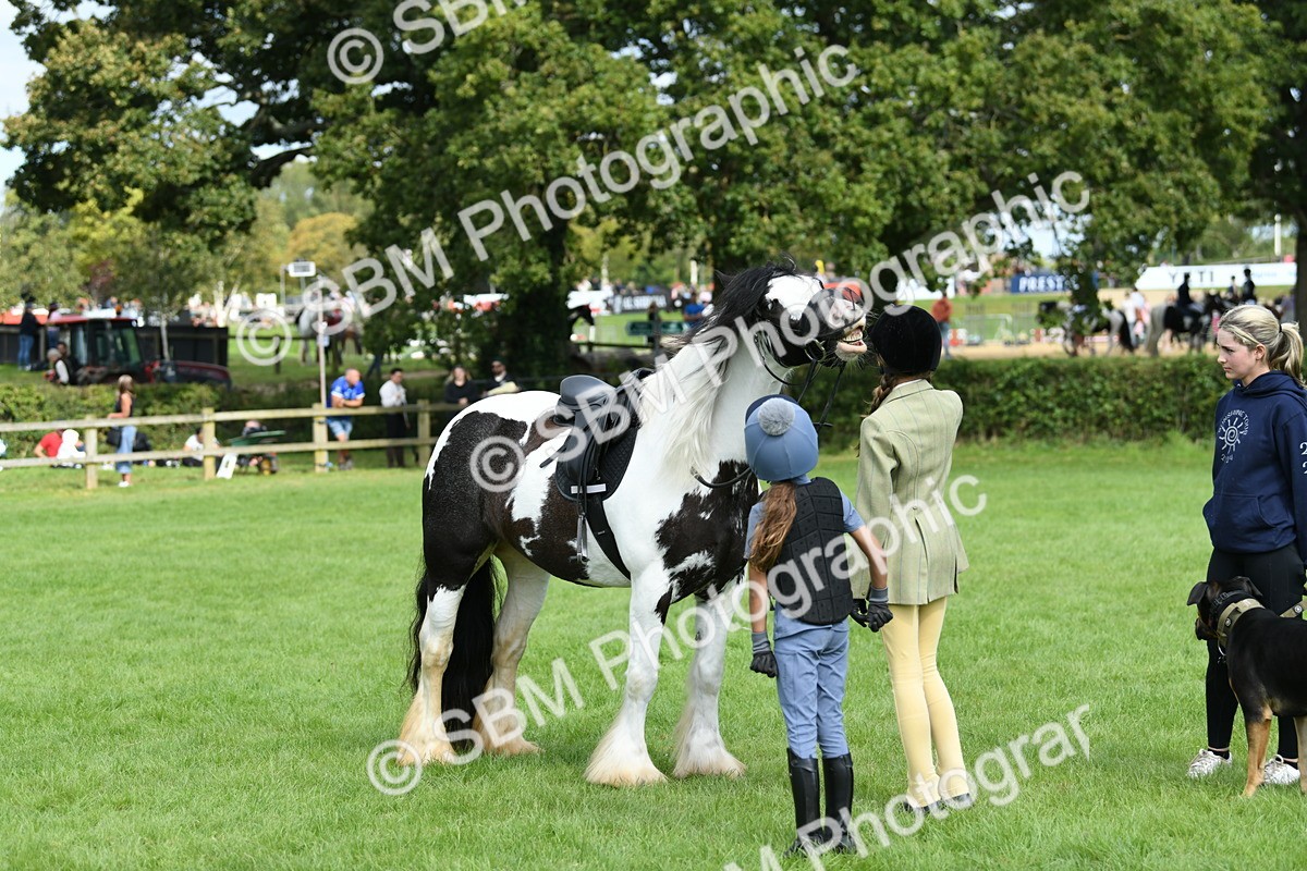 SBM_46951 - S12 - Family Horse & Pony