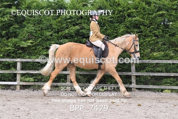 BPP_7479 - RING 1  (RIDDEN HORSES / IN HAND / VETERAN ETC)
