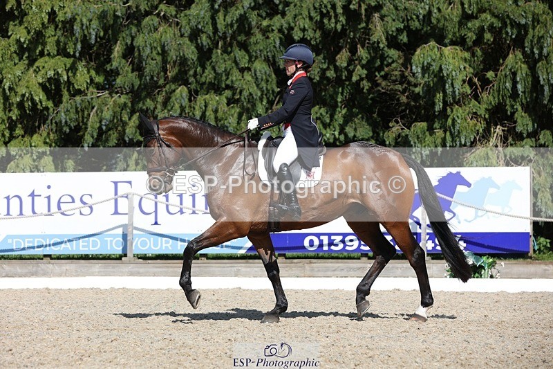 230526-160518-07751 - 168-PARKFIELD_ARTIE_BLOU-Laura_Collett-WEDTrotUp+DR