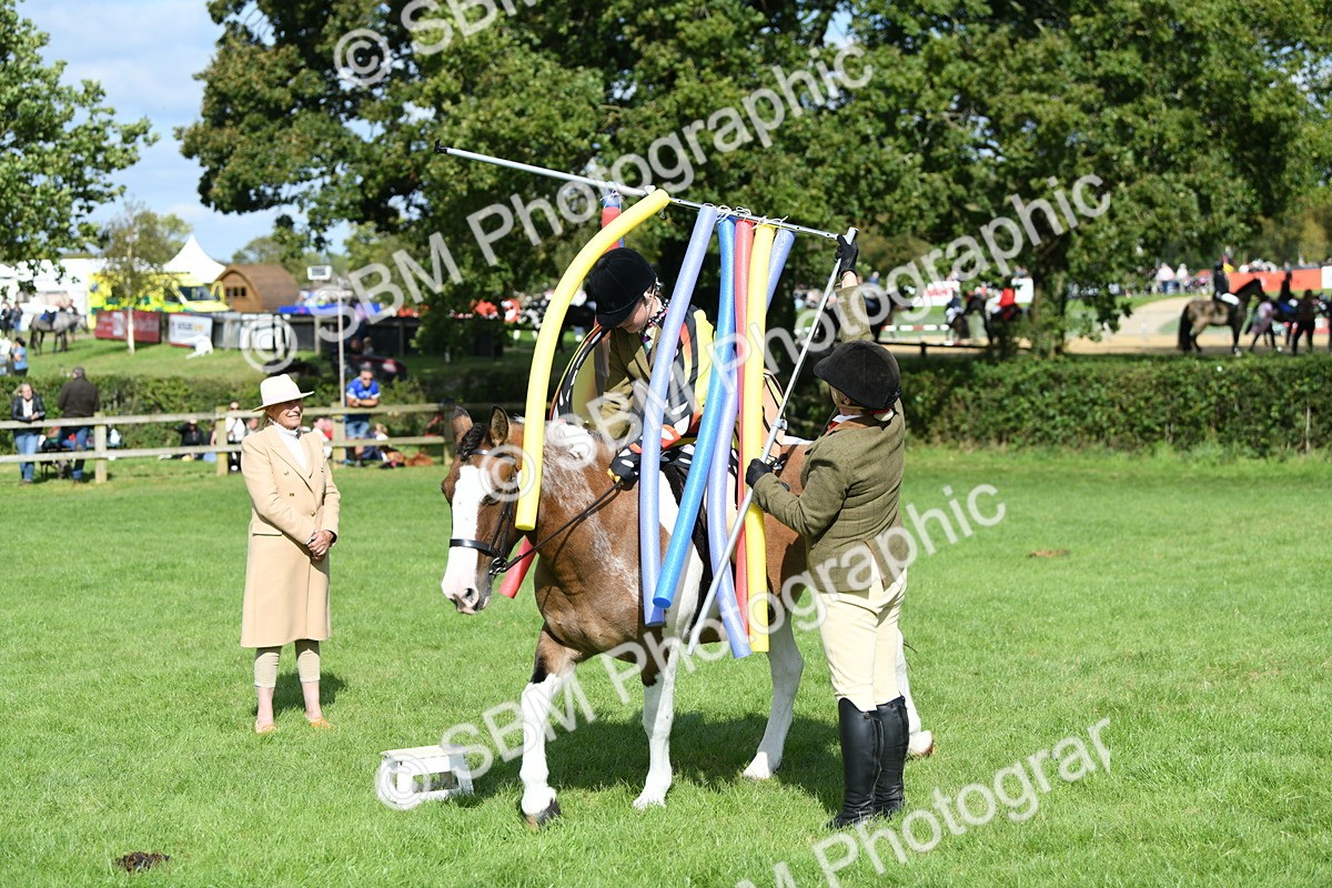 SBM_47125 - S12 - Family Horse & Pony