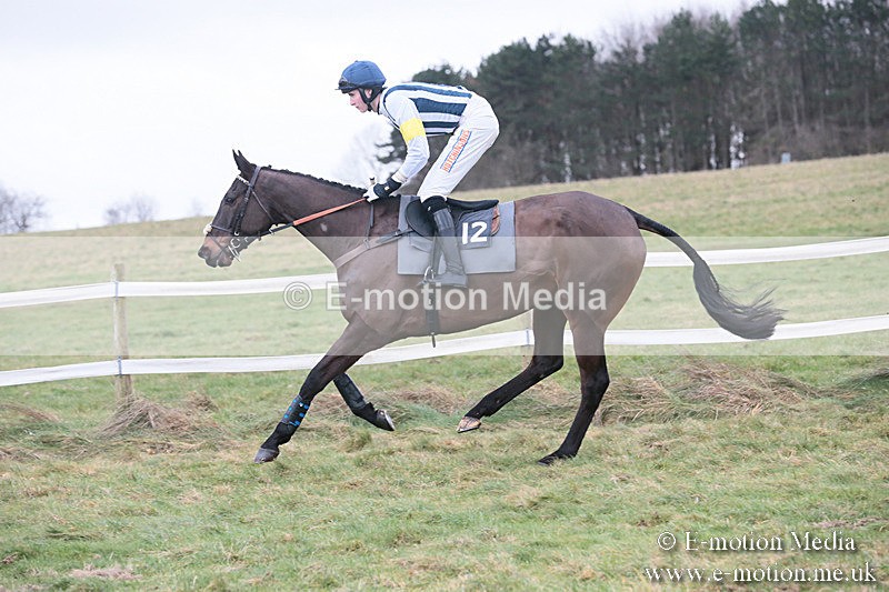 PtP 230119 284 - Royal Artillery Point-to-Point  - Larkhill  - 26/01/19