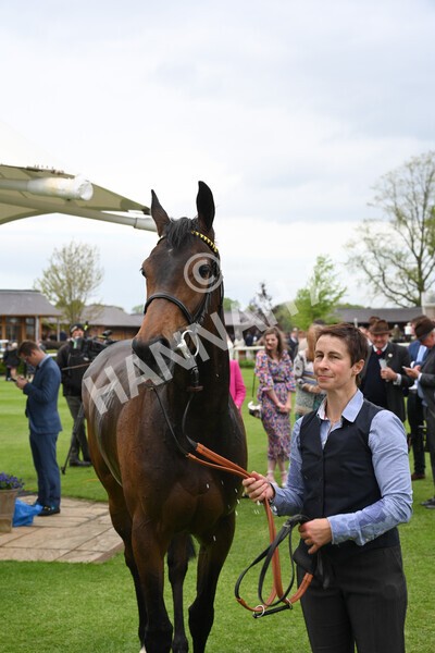 yr13052022r2-42 - Race 2 2.25pm Oaks Farm Stables Fillies' Stakes (registered as the Michael Seely Memorial Stakes)