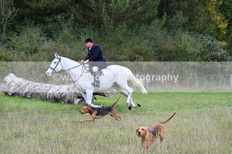 WJ7_3573 - Camera 1 Line 1