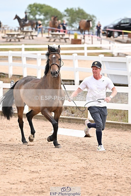 250716-150910-01697 - Trot Up 2.30 to 3.30