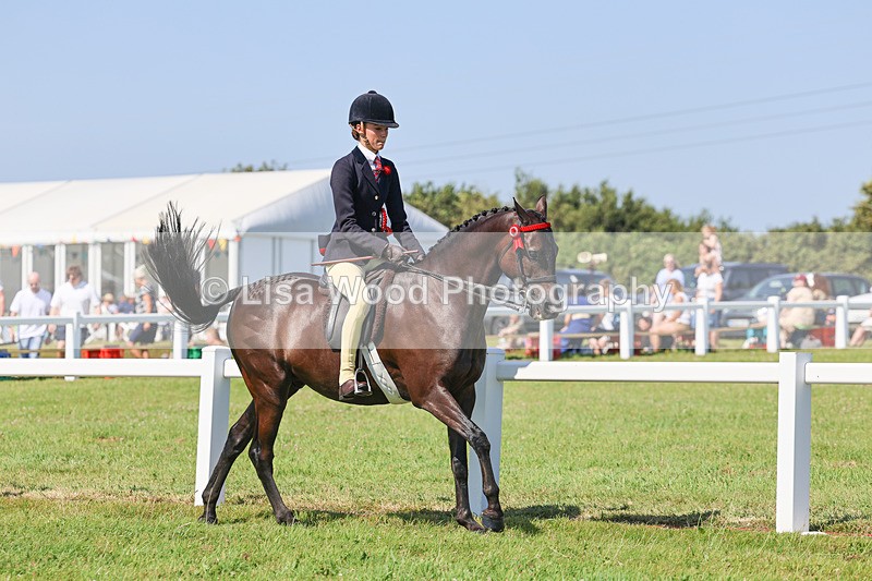IMG_1974 - Class 33: Show Pony 148cm and under