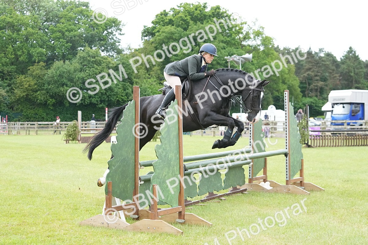 SBM_12578 - Class 97-98 - LIHS BSHA Rising Star Working Show Horse Hunter