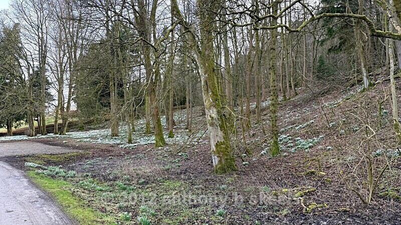 016 Leaving Arden Hall for Coomb Hill - York Minster Walkers Collection 2025