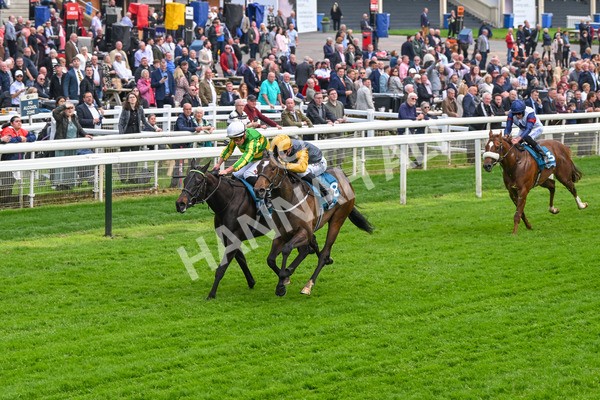 150524-Race 6-Shadow Army-4572 - Race 6 4.45pm British Stallion Studs EBF Novice Stakes