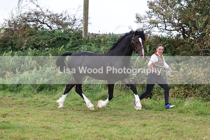 3E7A4117 - Class 15: Two Year Olds