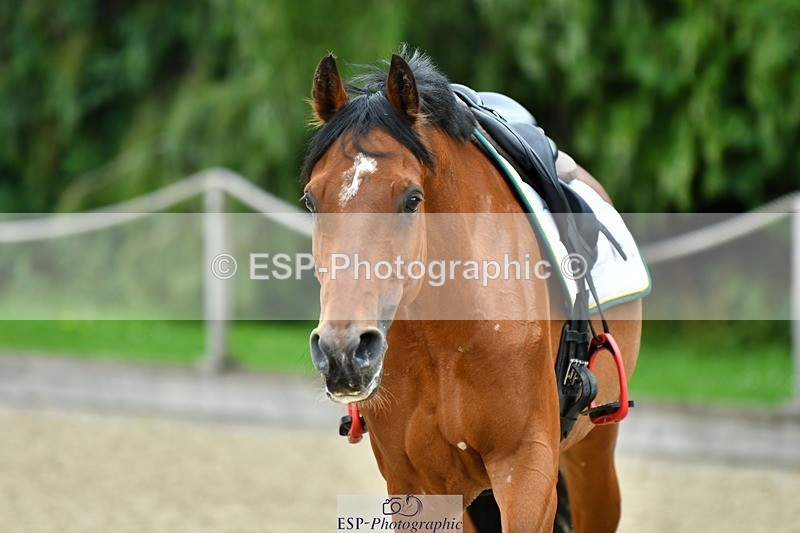 230712-113554-22879 - Cls 55 British Novice & 90cm Open