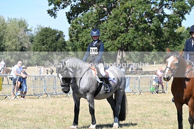 WJ6_8474 - Class 37a Best Loan Pony Ridden