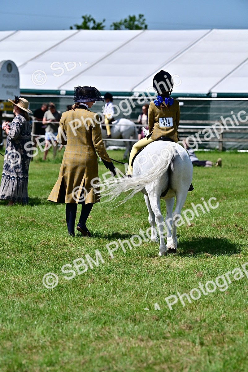 SBM_05912 - Class 59-60 - TSR M&M  Lear Rein and First Ridden Amateur of the year