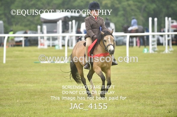 JAC_4155 - 40CM WORKING HUNTER