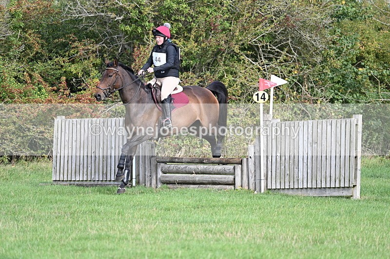 WJ7_8270 - 60cm Pairs