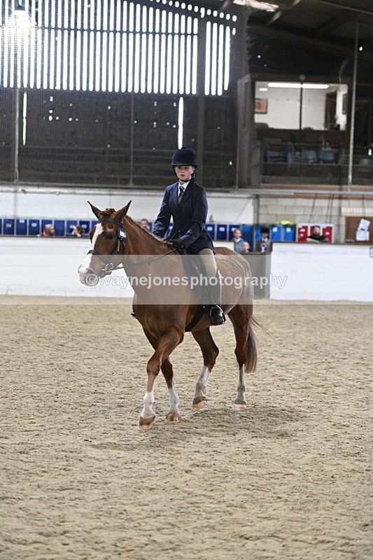 WJ7_4129 - Class 17 Ridden Cob