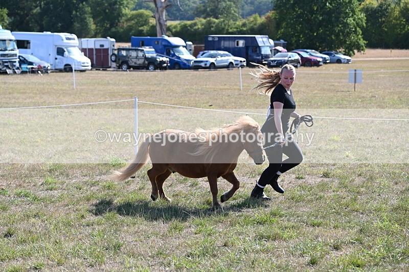 WJ6_7279 - Class 33 Rescue Pony