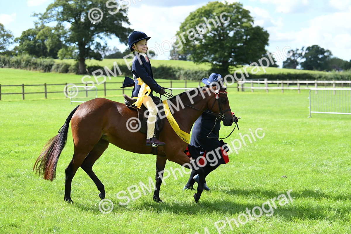SBM_41277 - S19 - Lead Rein Show & Show Hunter Pony