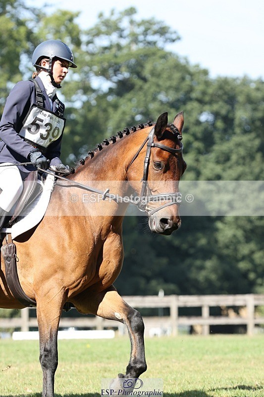 250823A-105250-27837 - Arena D