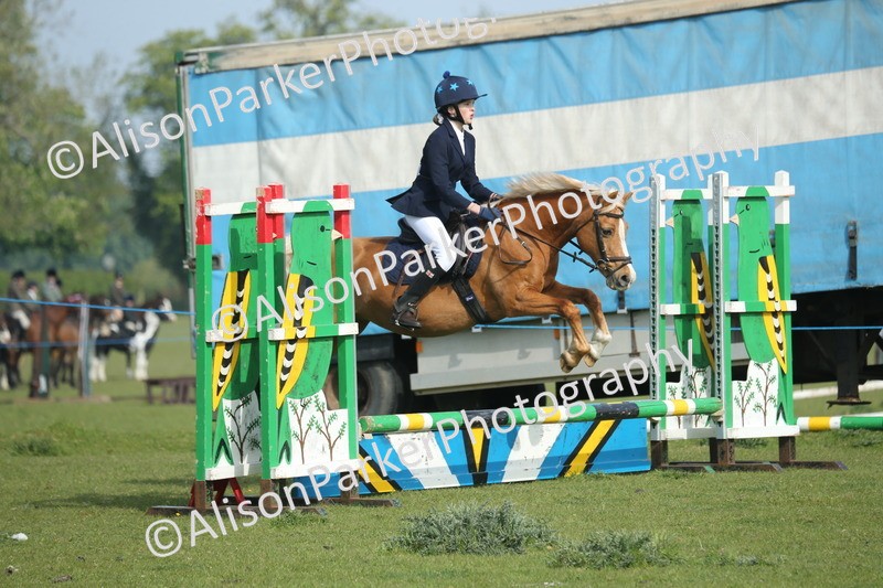 20260426-0153 - Class 13 - Rookie Jumping 50cm
