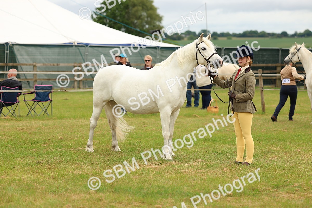 SBM_04225 - Class 64-67 - Shetland Pony In Hand