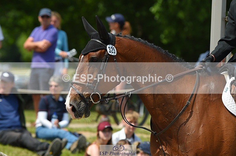 230528-122656-15705 - 325-LONESTAR-Thomas_Hawke-SUNTrotUp+SJ