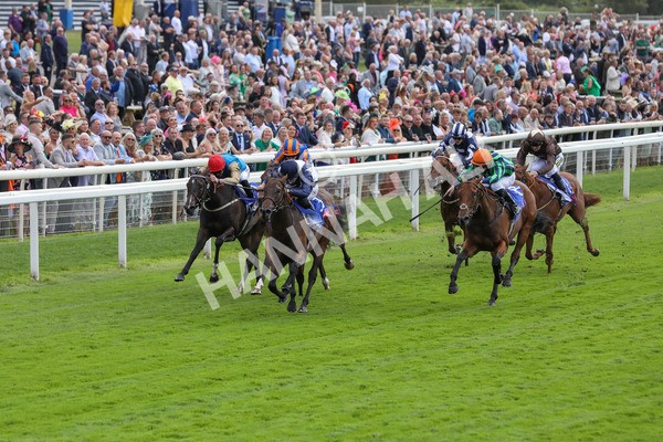 220824-Race 1-Celandine-7597 - Race 1 1.50pm Sky Bet Lowther Stakes