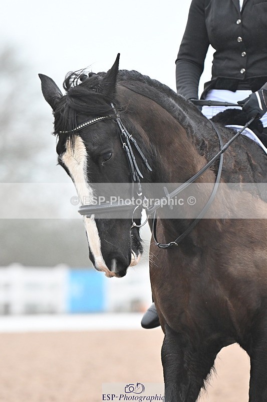 240217A-093722-00413 - 234-Tiffany.Ogden-Bobby.Boucher