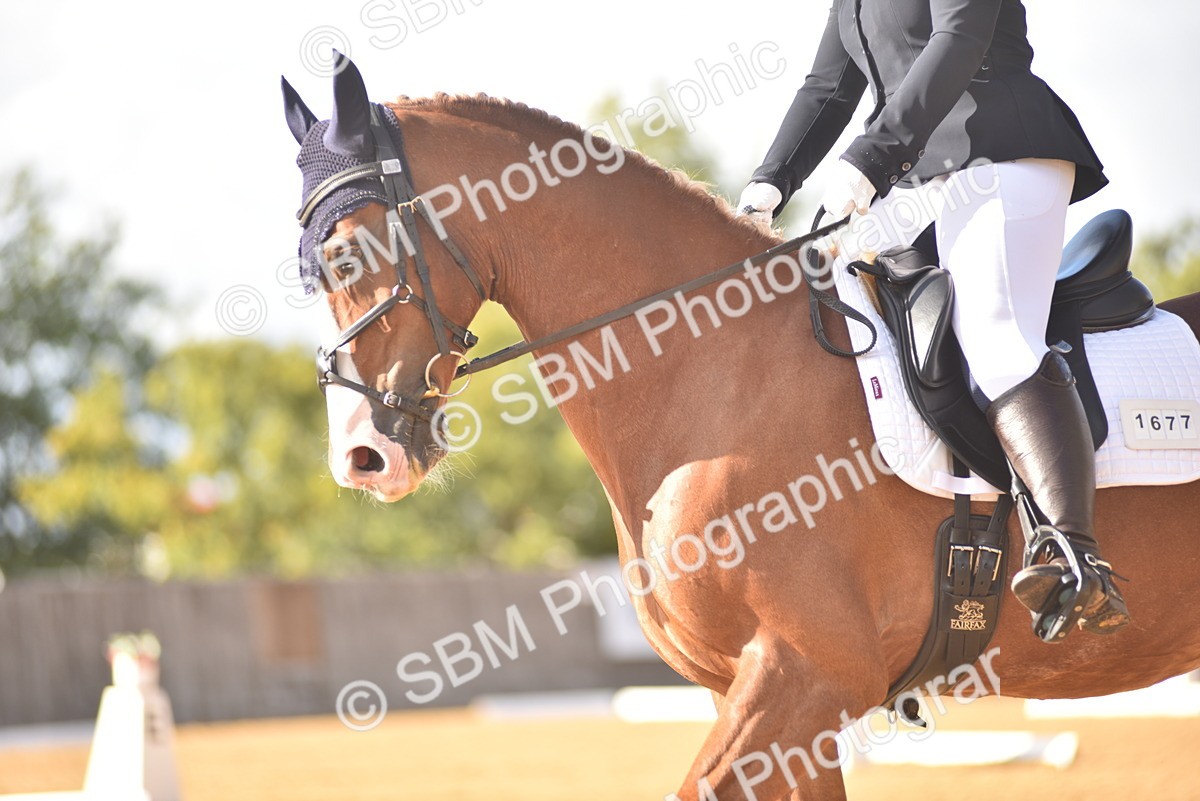 SBM_29576 - D16 -Small Tour Championship Novice 2