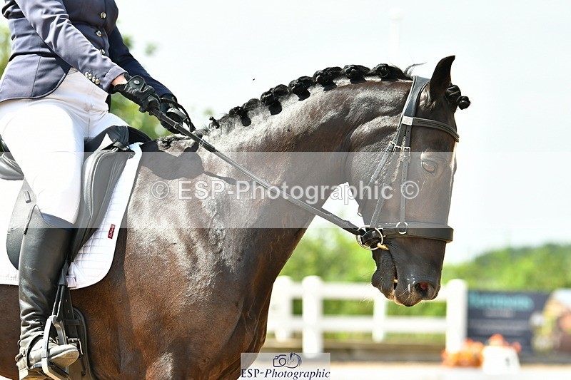 230701A-151525-06890 - Cls 11 Medium 73