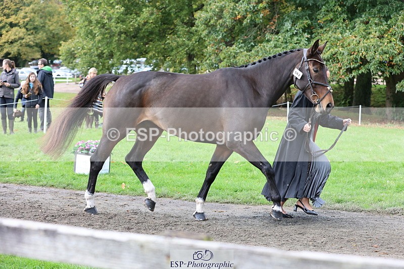 251026A-121157-25943 - G-562-Phoebe.Lagor