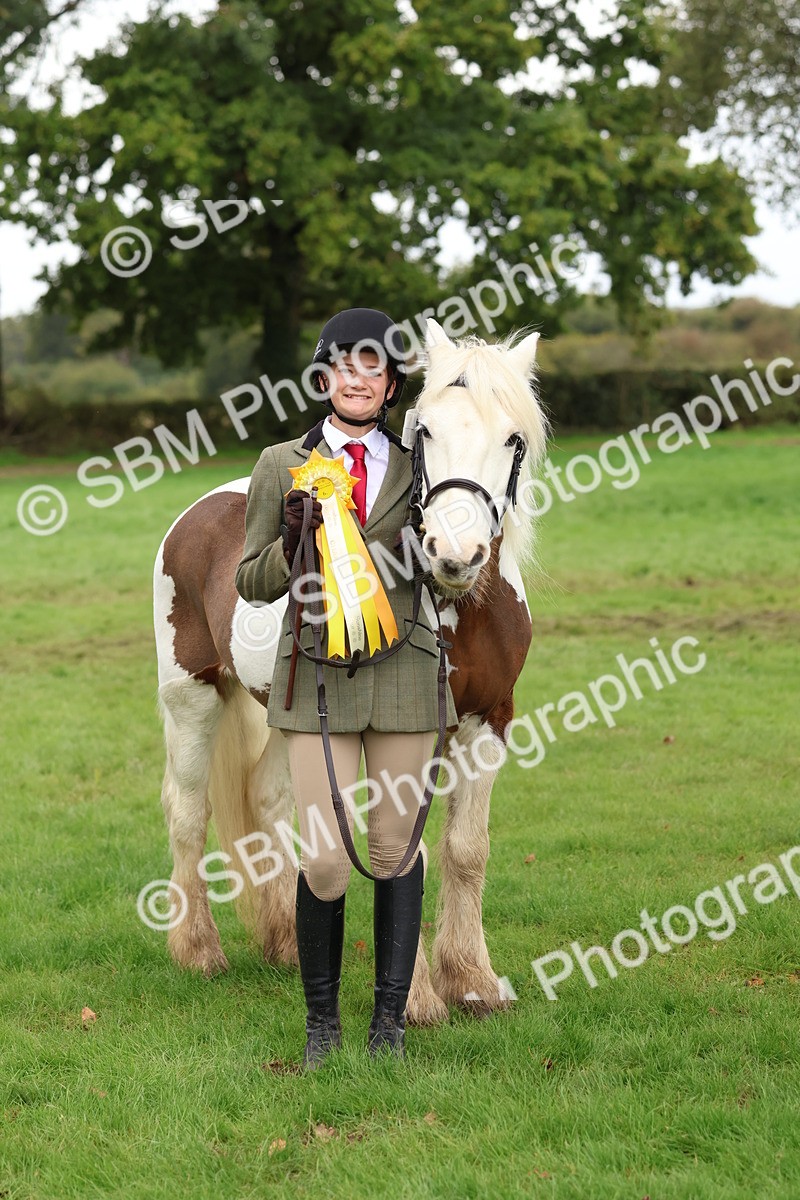 SBM_41760 - S26 - Mature Veteran In Hand