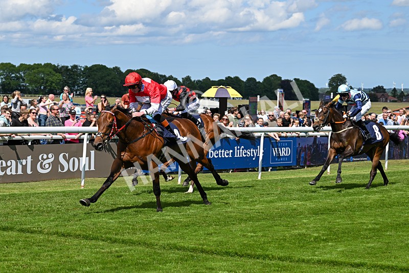 280525-Race 3-Rogue Invader-4841 - Race 3