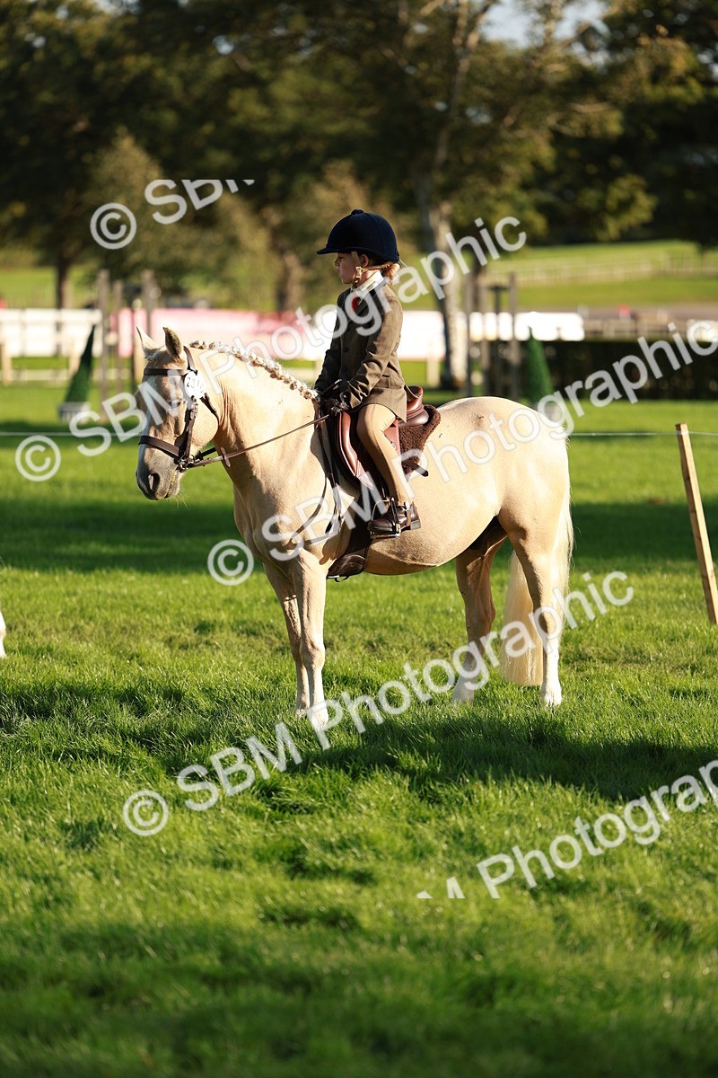 SBM_28764 - S7 - Novice & Newcomer Ridden Pony