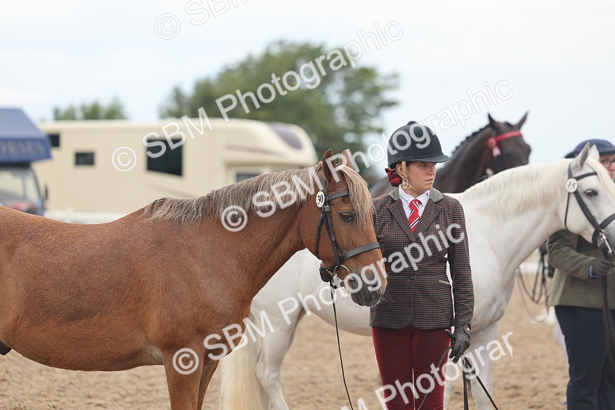 SBM_07803 - Class 27 - IH Competition Horse/Pony