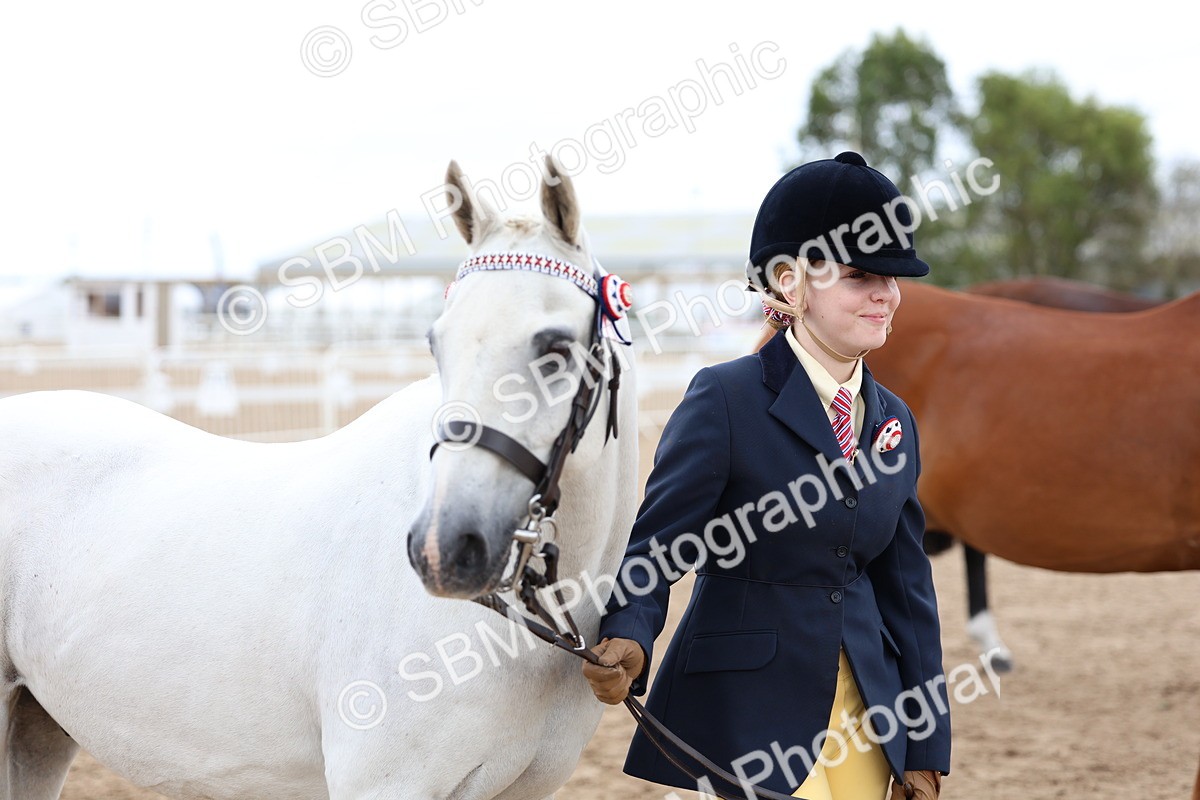 SBM_05087 - Class 27 - IH Competition Horse or Pony