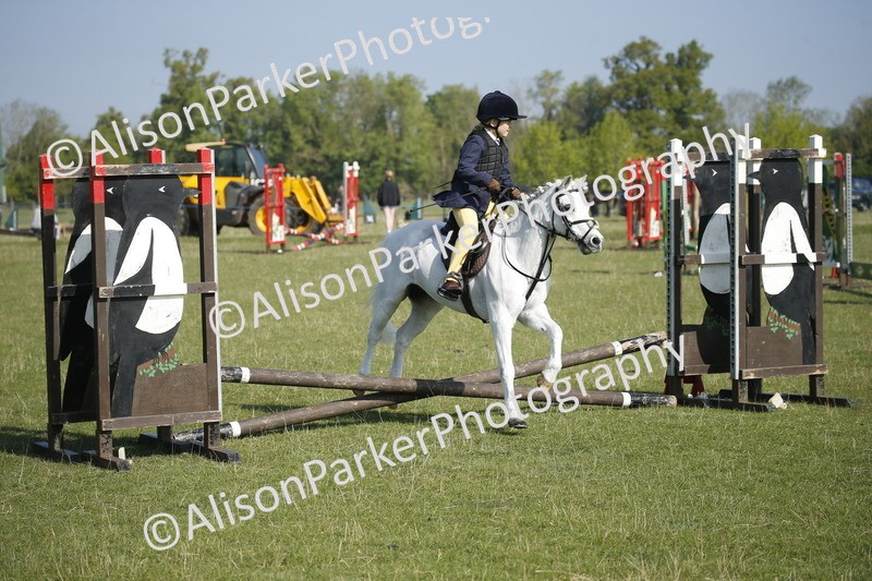 20250427-0290 - Class 12 - Rookie Jumping 40cm