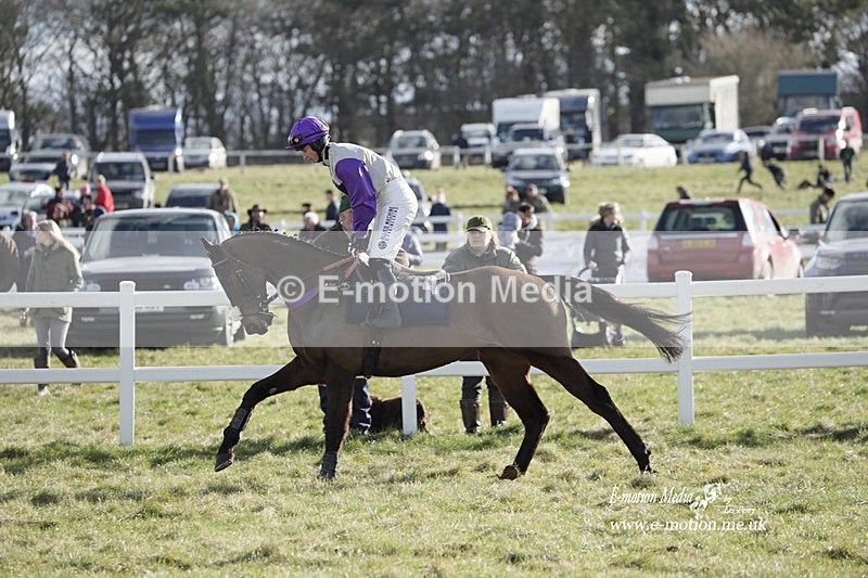 PtP 260223 913 - South & West Wilts Point-to-Point Larkhill 26/02/23