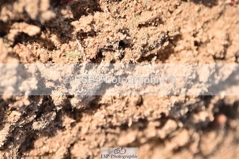 231105A-111800-00487 - 80cm