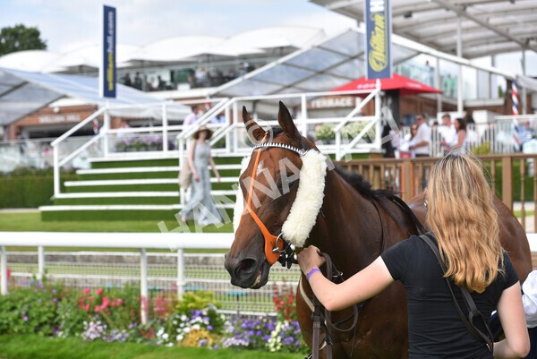 yr09072021r6-19 - Race 6 4.55pm Longines Irish Champions Weekend Stakes