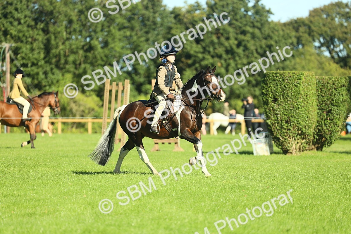 SBM_37522 - S29 - Novice & Newcomers Working Hunter Pony