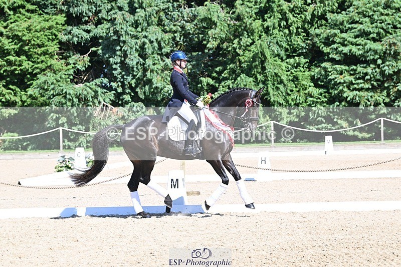 240811-154023-06749 - Inter I Gold