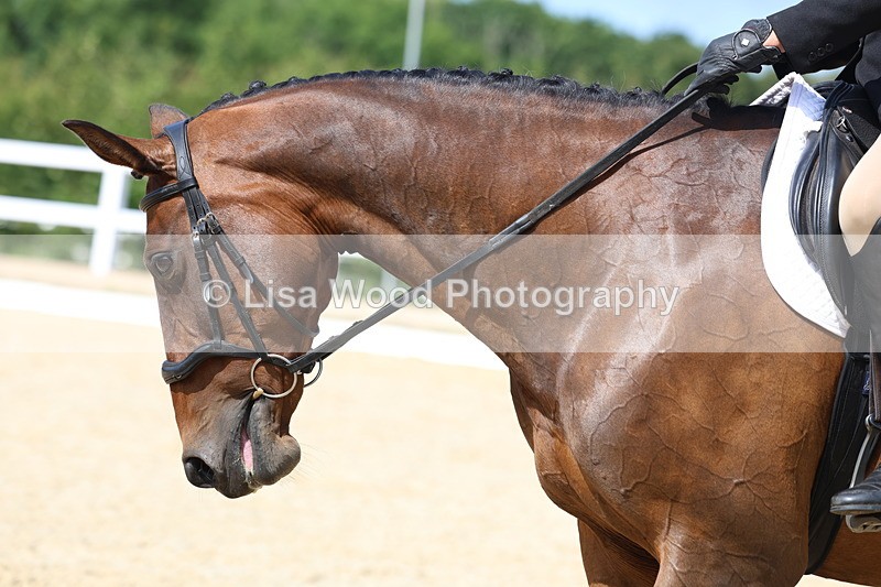3E7A3533 - Class 2: Intro 3 2024 - Section B