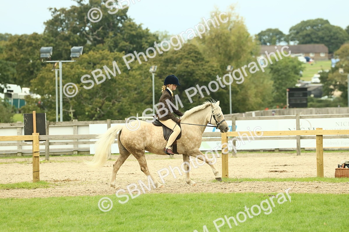 SBM_72027 - S60 - Mountain & Moorland Ridden Large Breeds