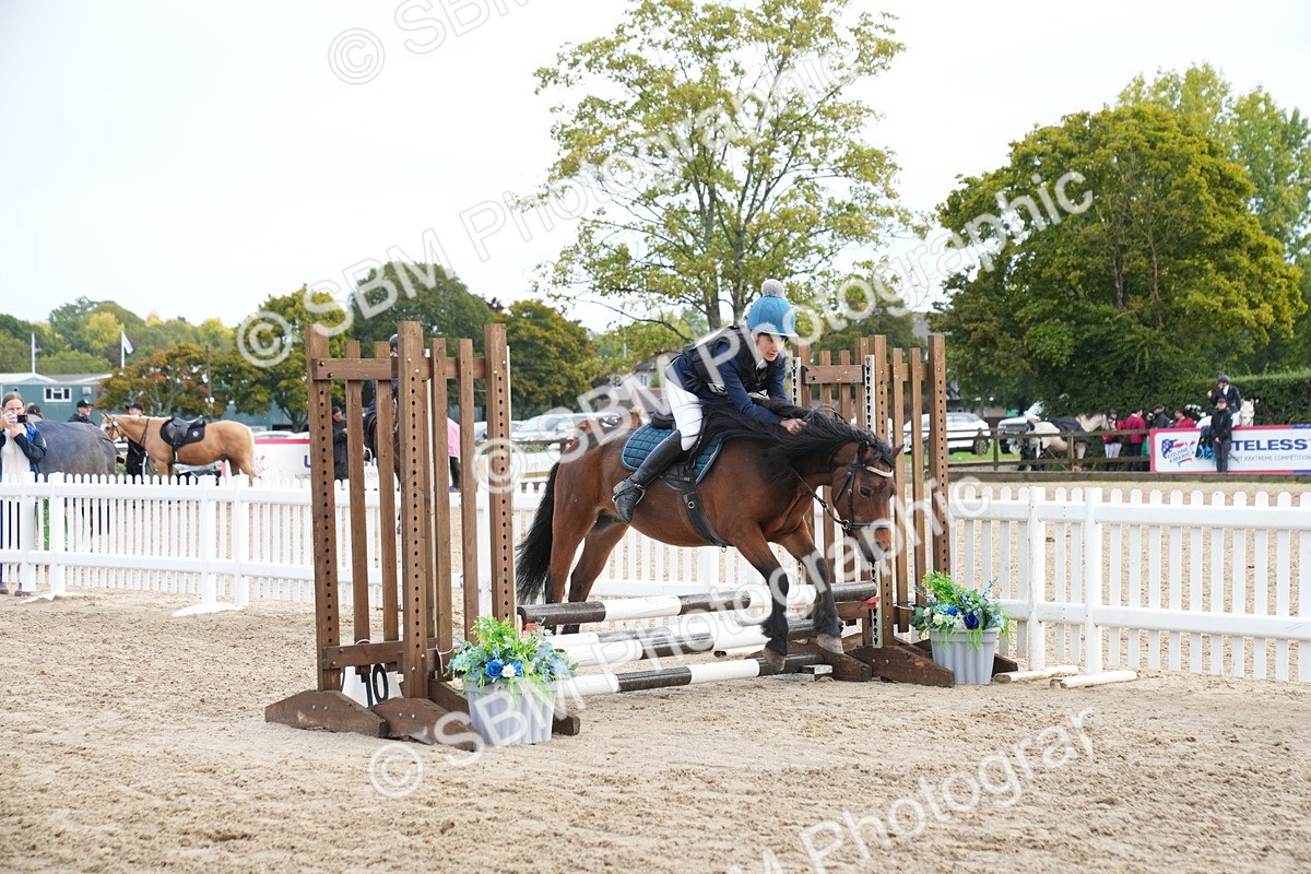 SBM_01947 - J54 - Clear Round 50cm