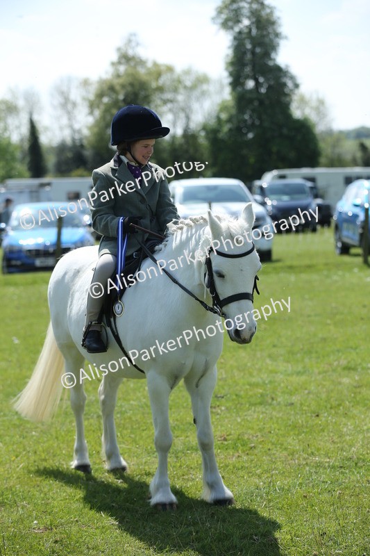 20250427-2783 - Class 6 - Pony Judge Would Most Like To Take Home
